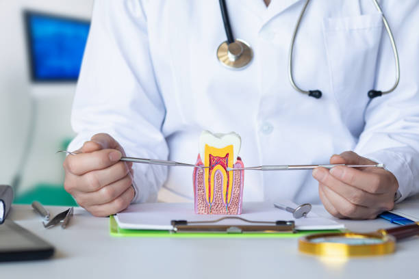 Best Emergency Treatment for Dental Infections or Abscesses in Gilroy, CA